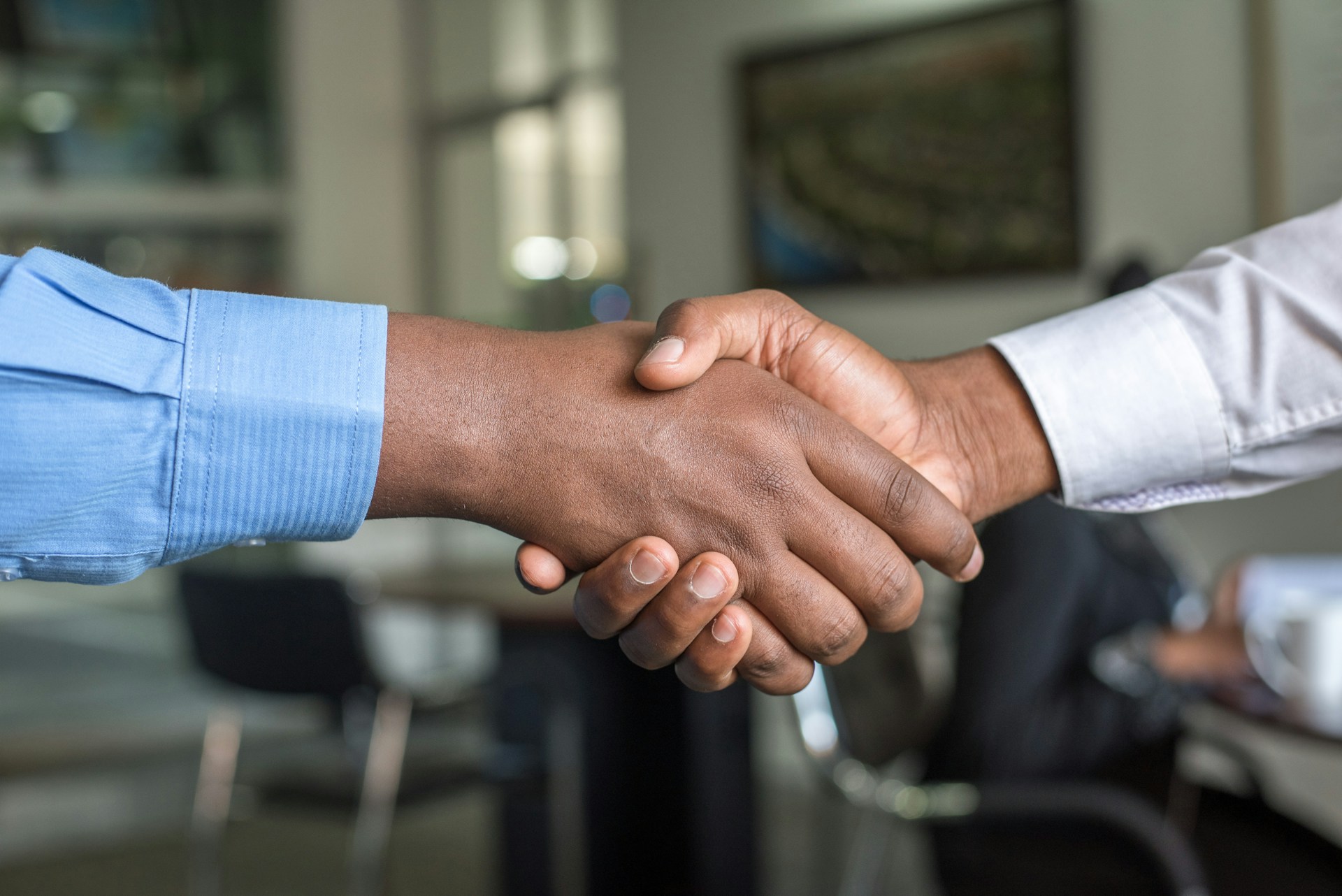 Business professionals shaking hands